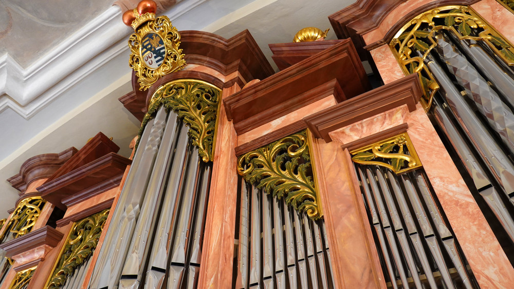 Vzácné barokní varhany se dvěma manuály, pedálem a 17 rejstříky mají barokní ladění (o půltón níže a specifickou barvu tónů) a jako takové jsou jediné u nás. Rozsahem jsou koncipované pro interpretaci severoněmecké barokní hudby.