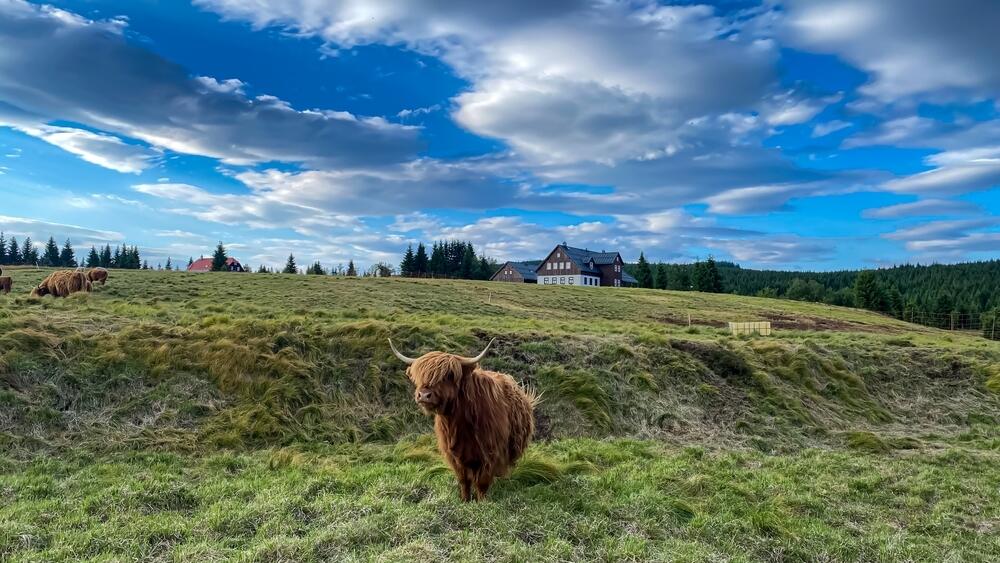 JIzerka nabízí v každé roční době pohledy, které nikdy neomrzí. Foto z www.kudyznudy.cz