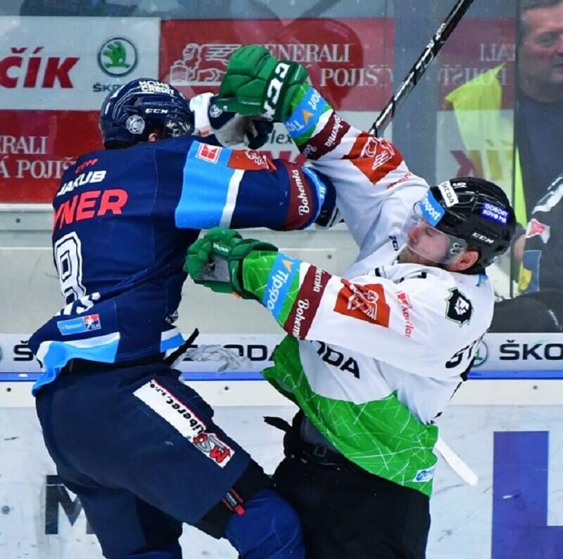 Foto: twitter Bili tygri