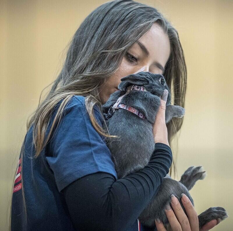 To je on, králičí šampion. Foto jednoho u účastníků ME a jeho paničky Artur Irma