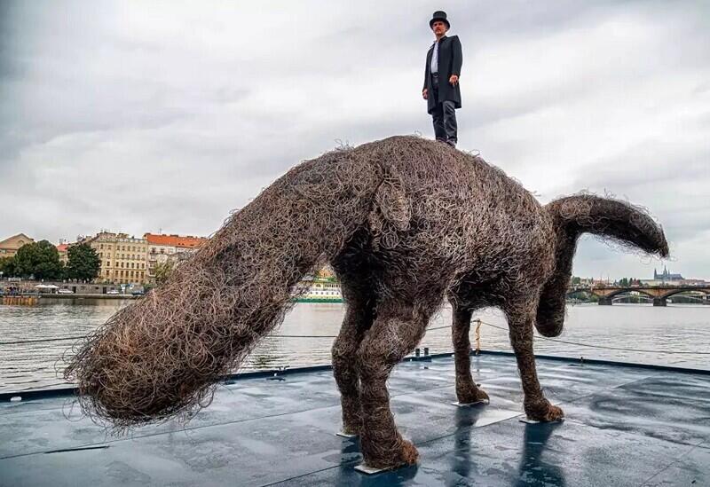 Foto z www.kudyznudy.cz
