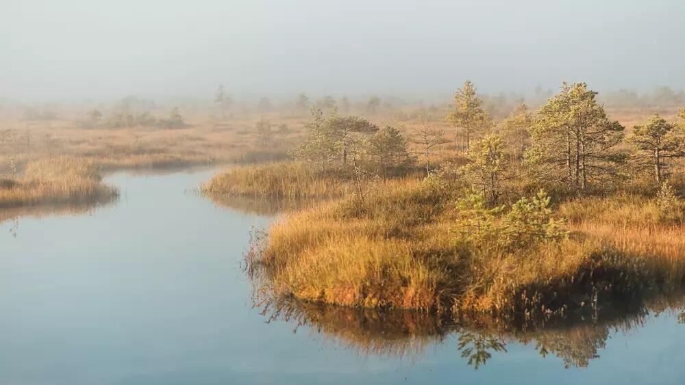 Foto z https://www.kudyznudy.cz