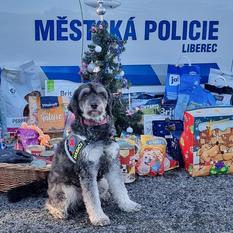 Foto z FB Městské policie Liberec