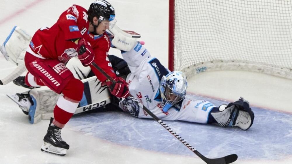 Foto z www.hcbilitygri.cz