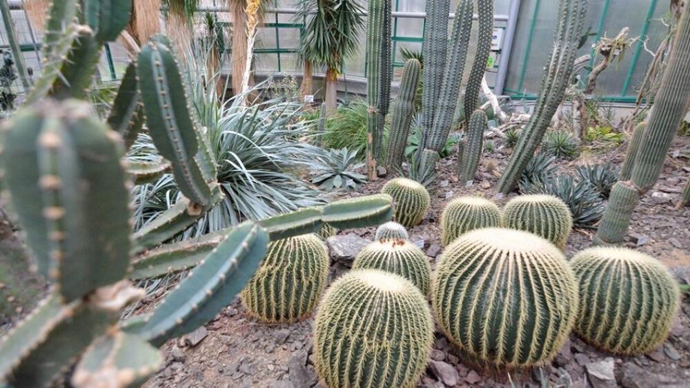 Botanická zahrada v Liberci, archivní foto