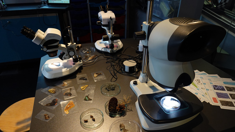 V laboratoři mají žáci k dispozici například stereomikroskopy.