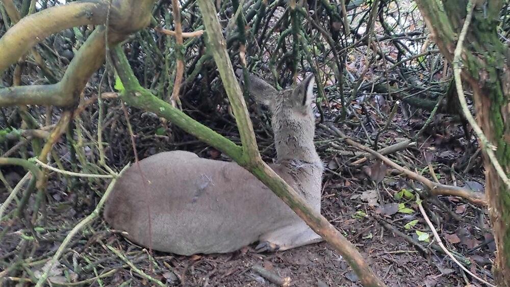 Foto z místa činu Policie ČR.
