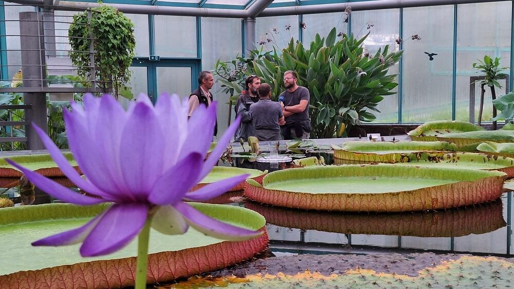 Botanická zahrada.