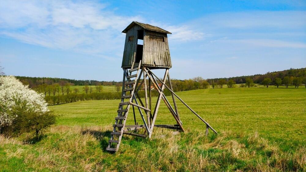 ilustrační foto