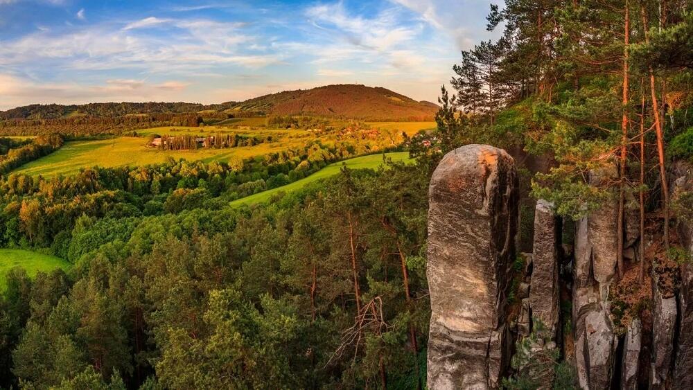 Foto z https://www.kudyznudy.cz