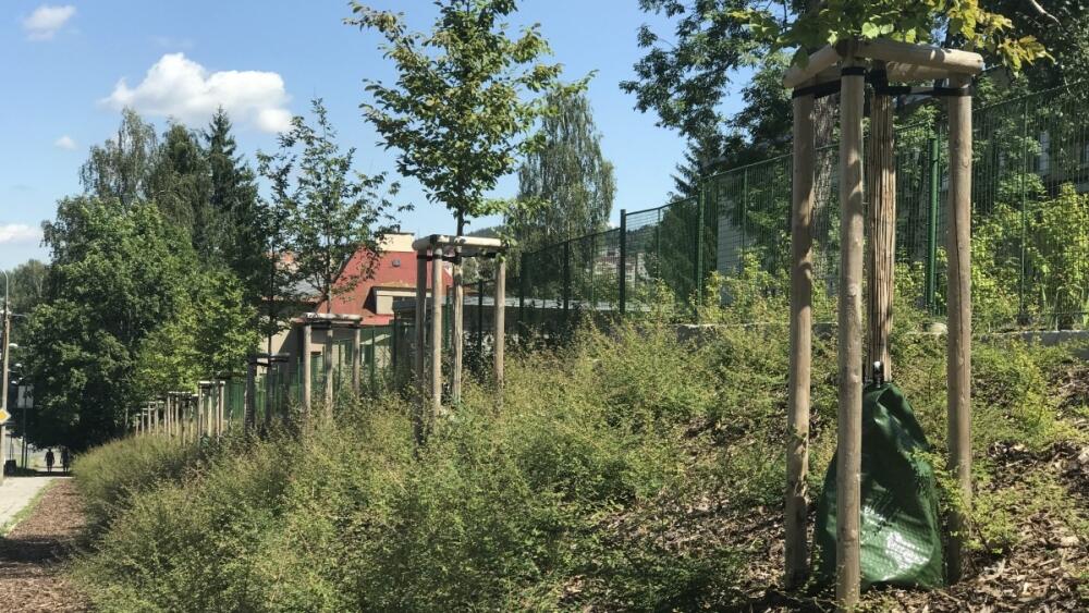Zavlažovací vaky, Jablonec nad Nisou