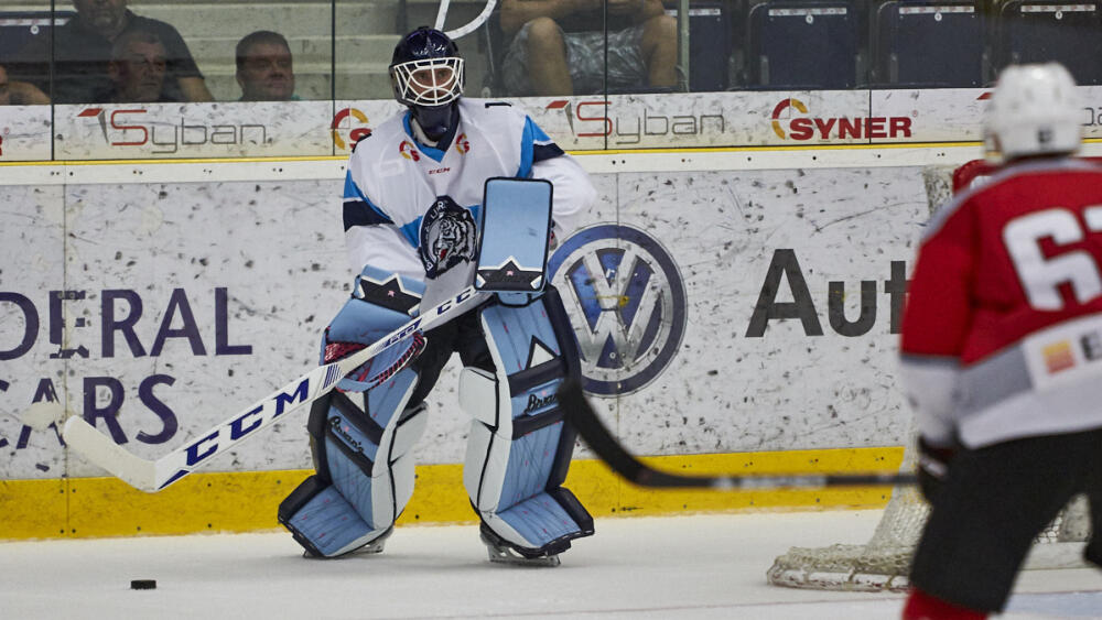 Marek Schwarz, foto: www.hcbilitygri.cz