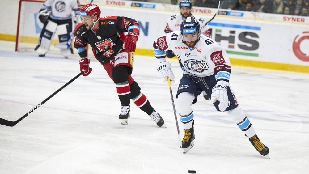 Foto: www.hcbilitygri.cz