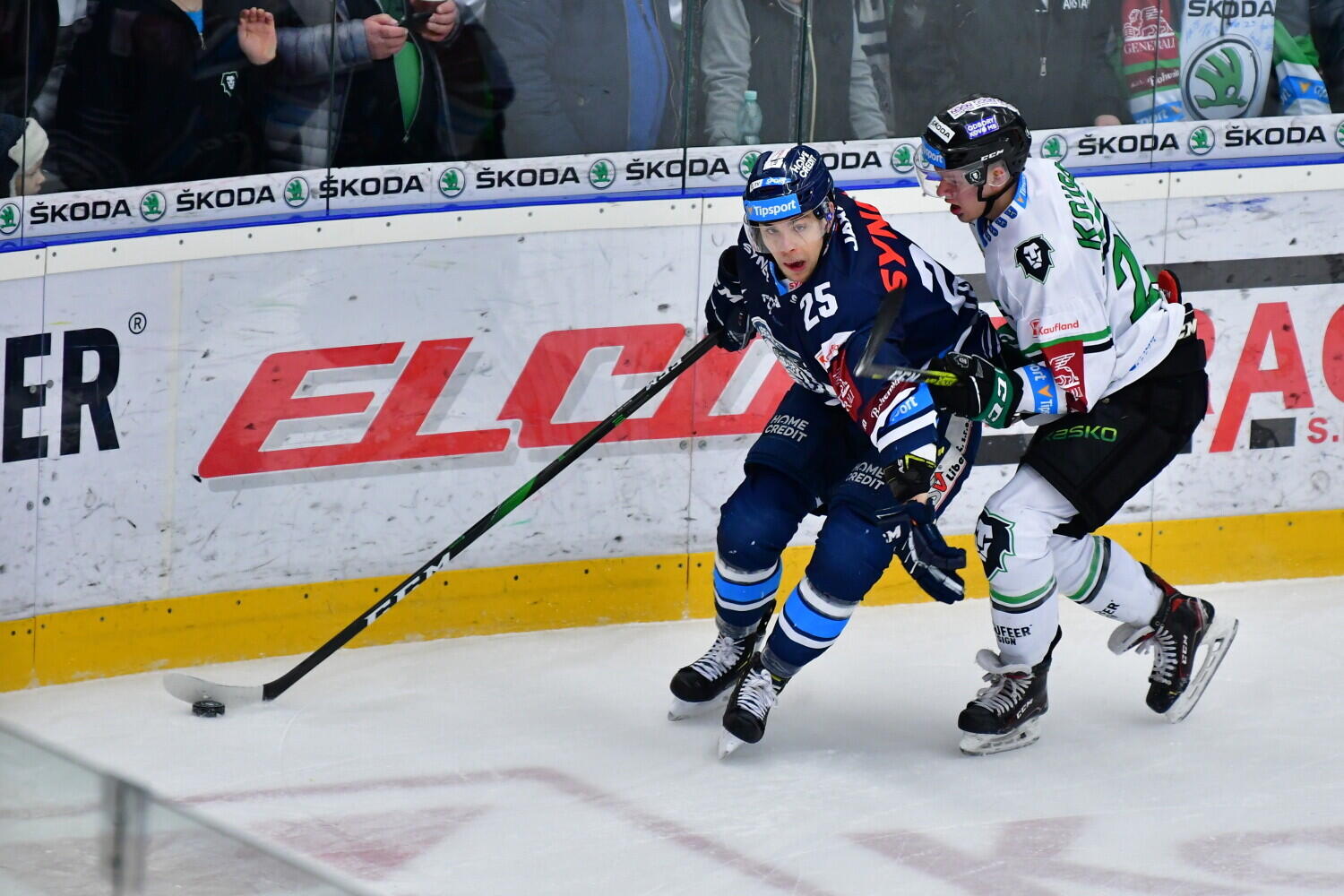 Foto: www.hcbilitygri.cz