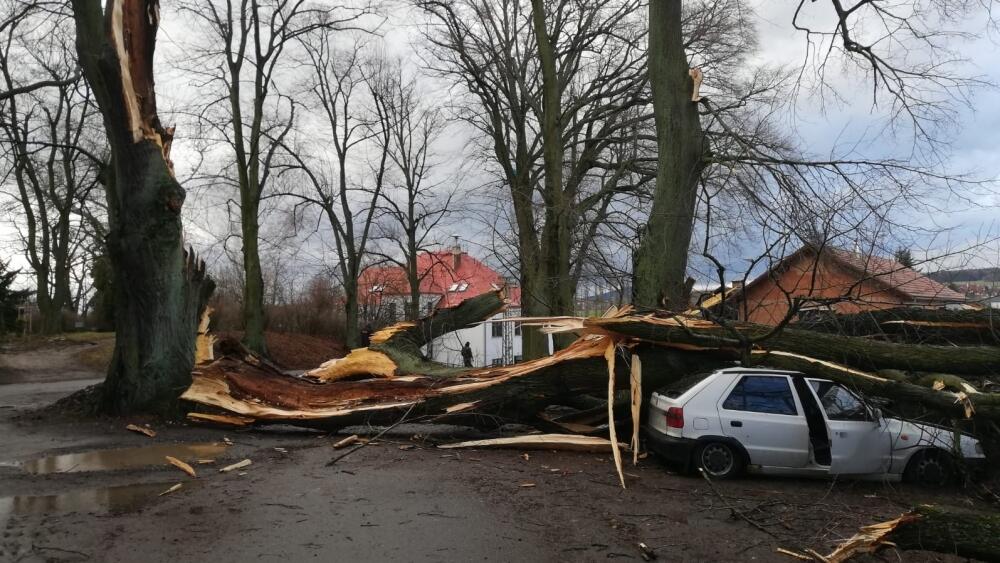 Pád stromu v Jevišovicích, foto: HZS LK
