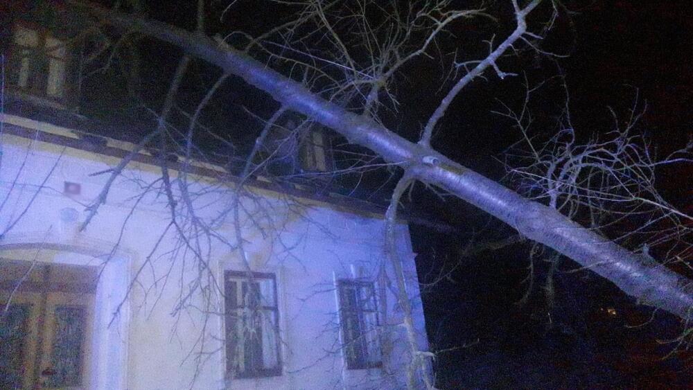 Pád stromu Raspenava, foto: HZS LK