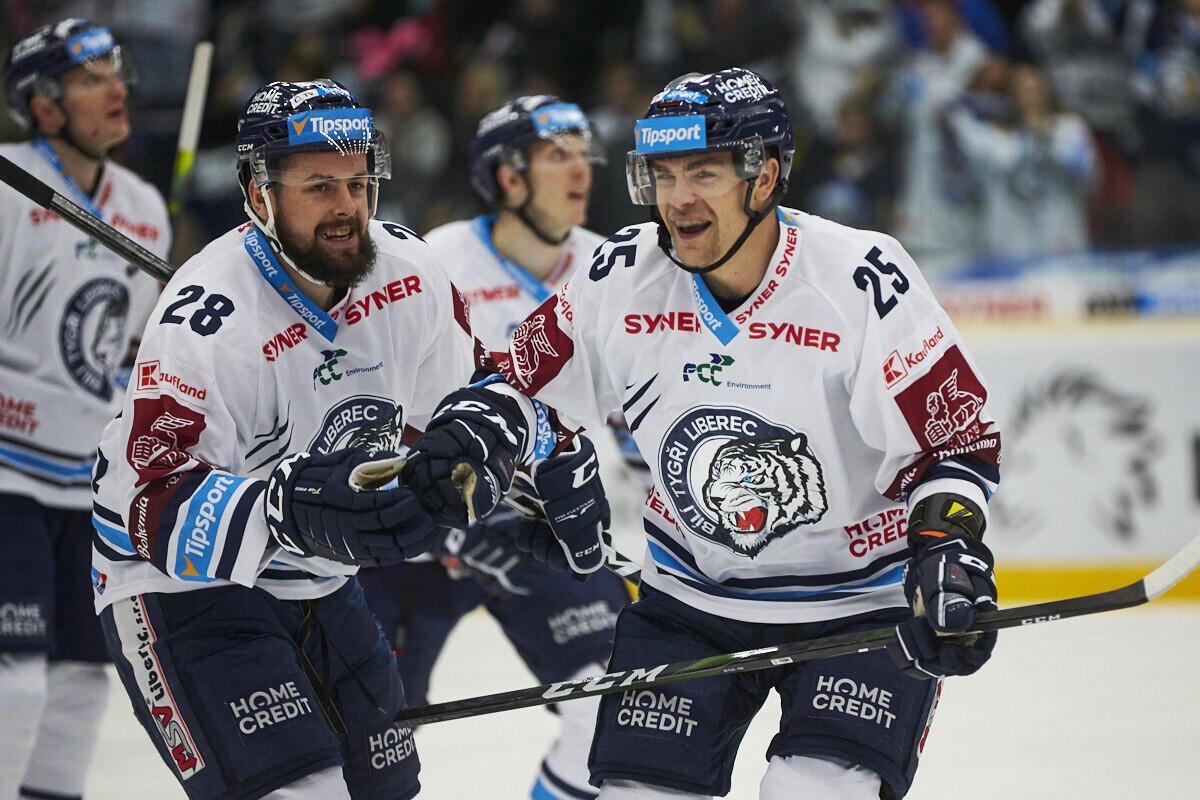 Foto: www.hcbilitygri.cz