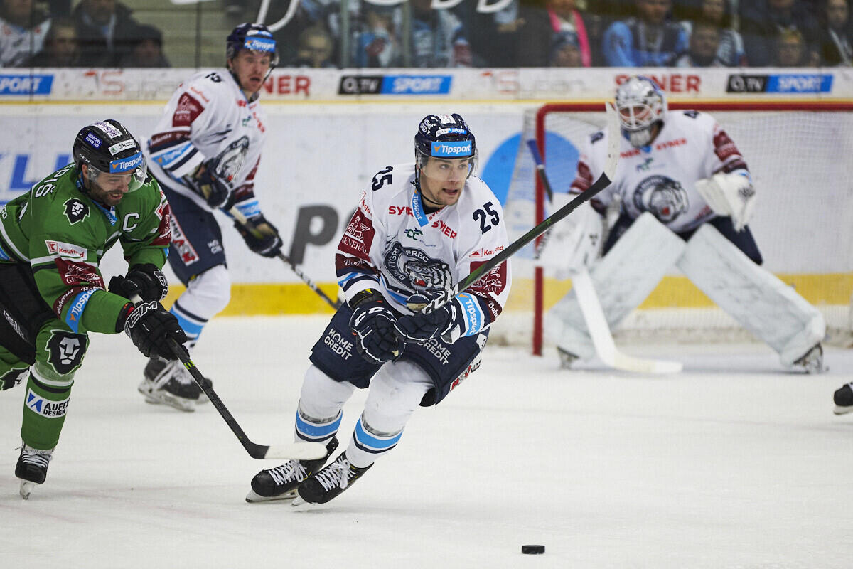 Foto: www.hcbilitygri.cz