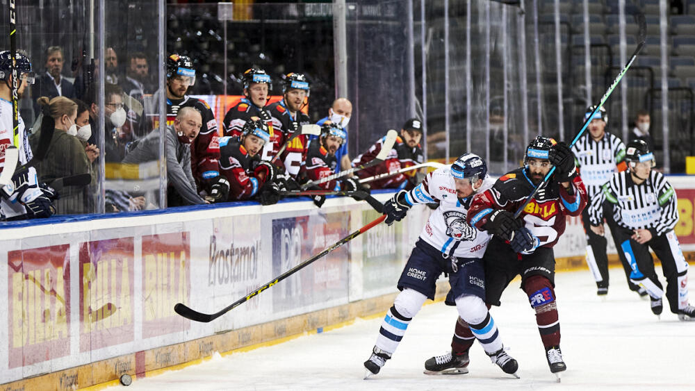Foto: www.hcbilitygri.cz