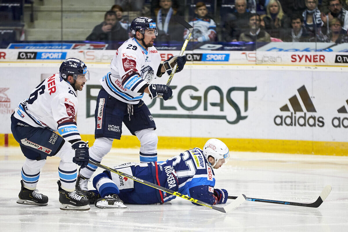 Tygří duo Petr Jelínek a Lukáš Krenželok brání, foto: www.hcbilitygri.cz