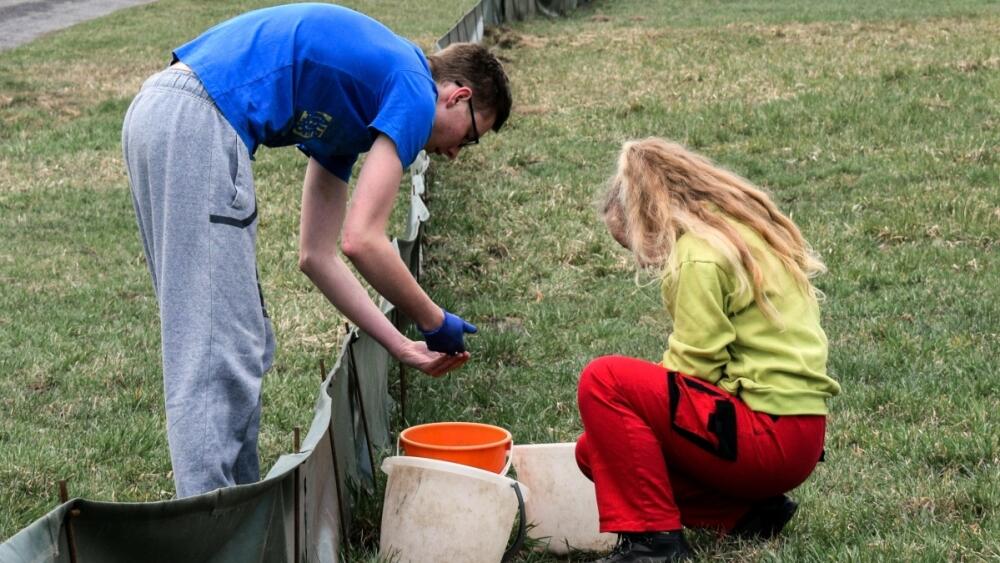 Mapování obojživelníků a plazů v Podještědí