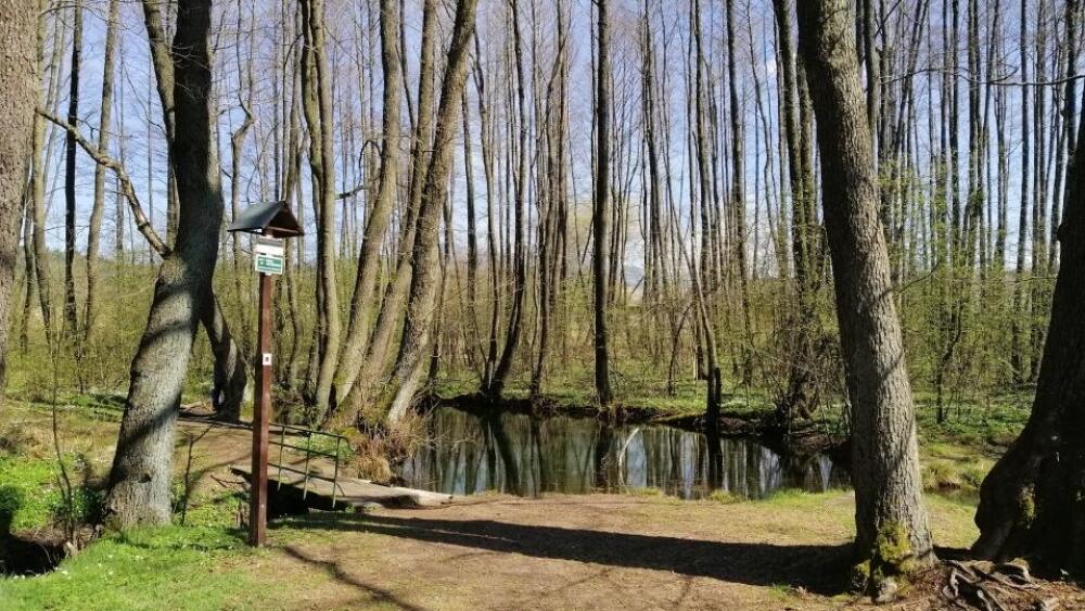 Prameny Ploučnice, foto: LK