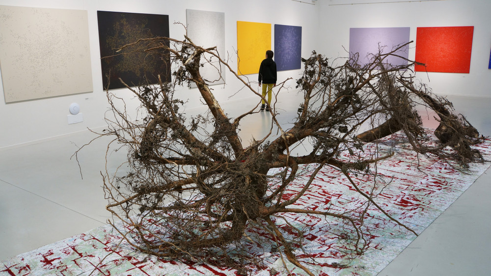 Prostory Lázní přímo vybízejí k experimentům a rozměrným instalacím, například Jana Kasalová na svou výstavu Odjinud, konanou v Podbazénovém sále, dopravila rozměrná torza stromů i s kořeny.