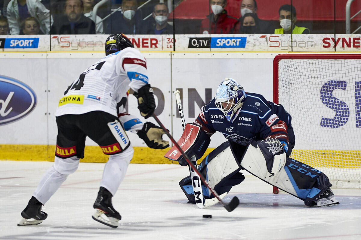 Foto: www.hcbilitygri.cz