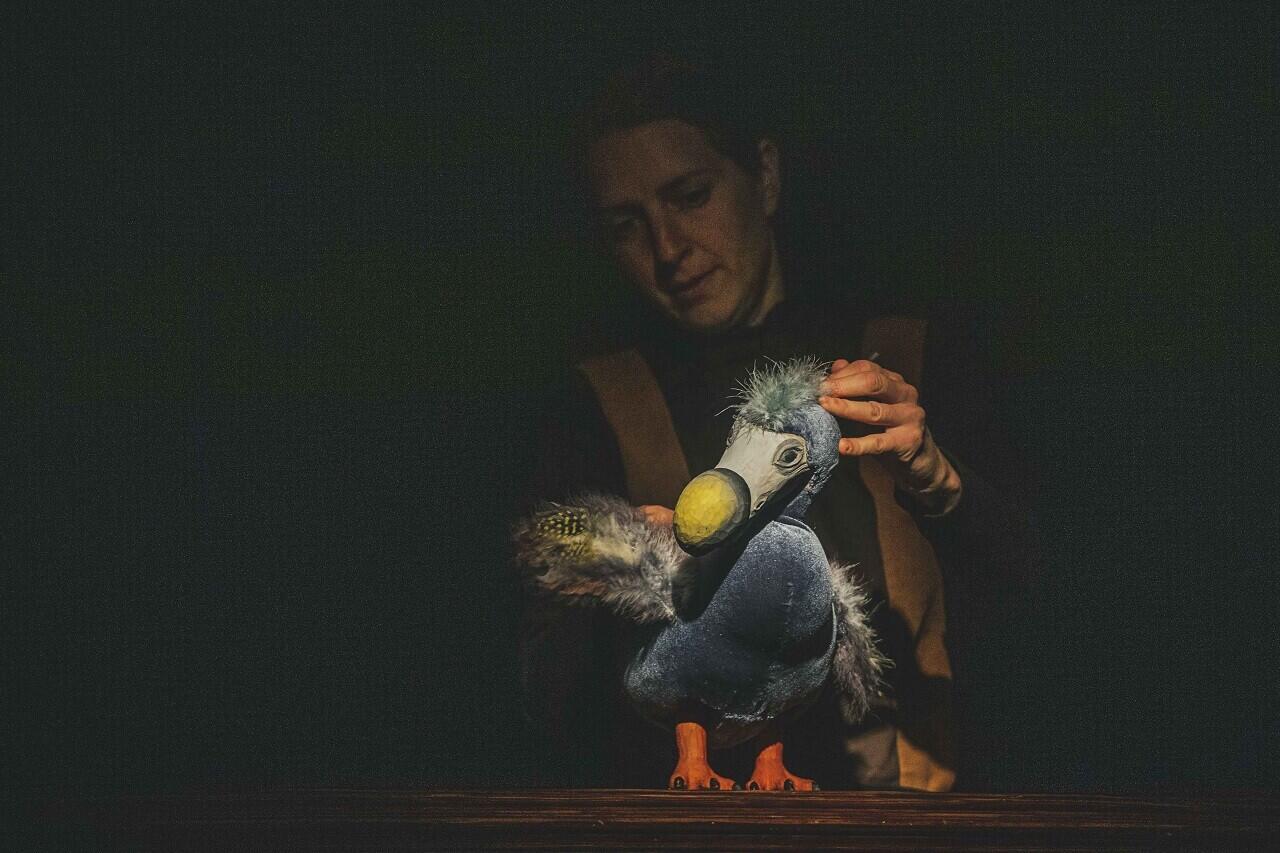 Foto: Artur Irma