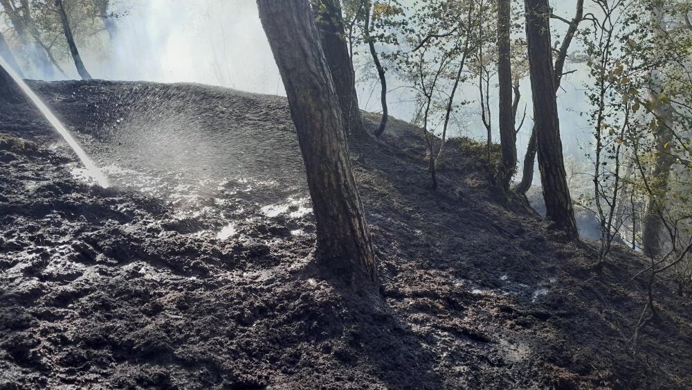 Holany, foto: Twitter/HZS LK