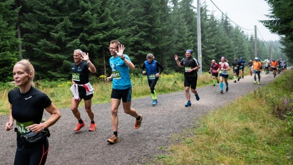 Foto: www.behejlesy.cz