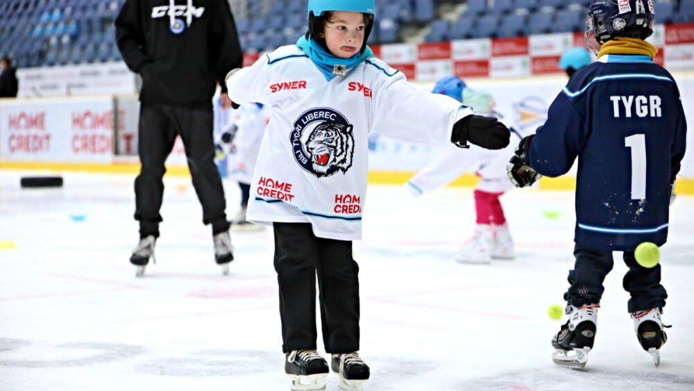 Foto: www.hcbilitygri.cz