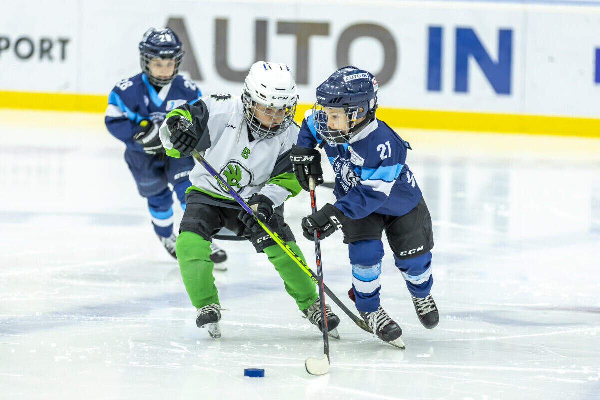 Foto: www.hcbilitygri.cz