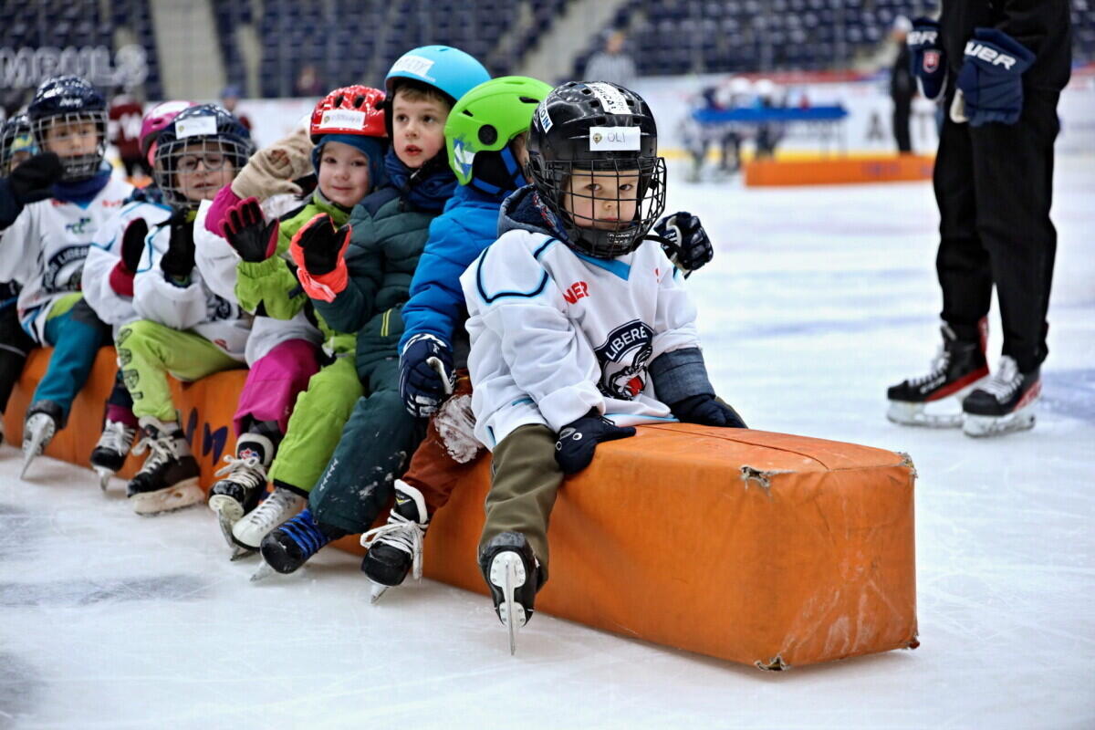 Foto: www.hcbilitygri.cz