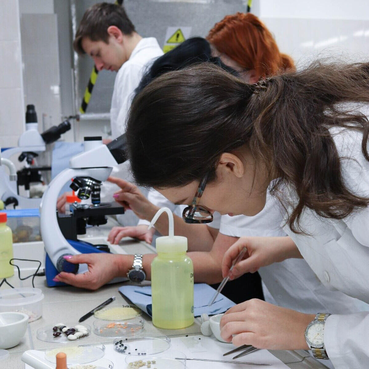 Studenti biologie FP TUL při práci. Foto: Irena Šlamborová