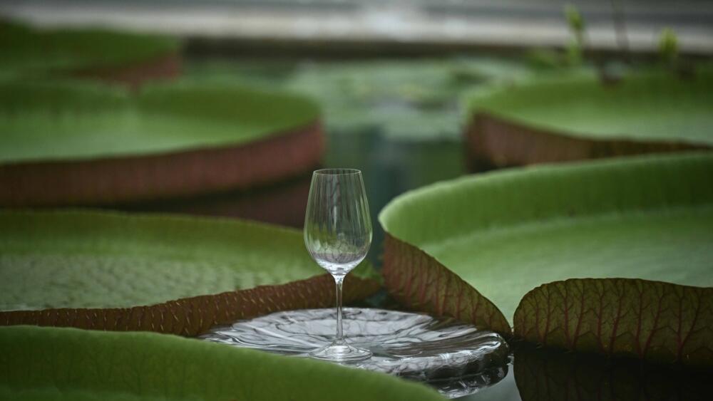 Botanická zahrada, foto: Artur Irma
