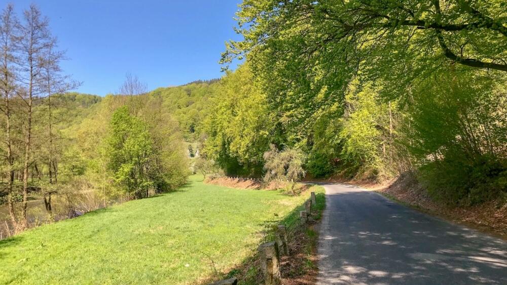 Přírodní rezervace Bučiny u Rakous, foto - zdroj: www.cesky-raj.cz