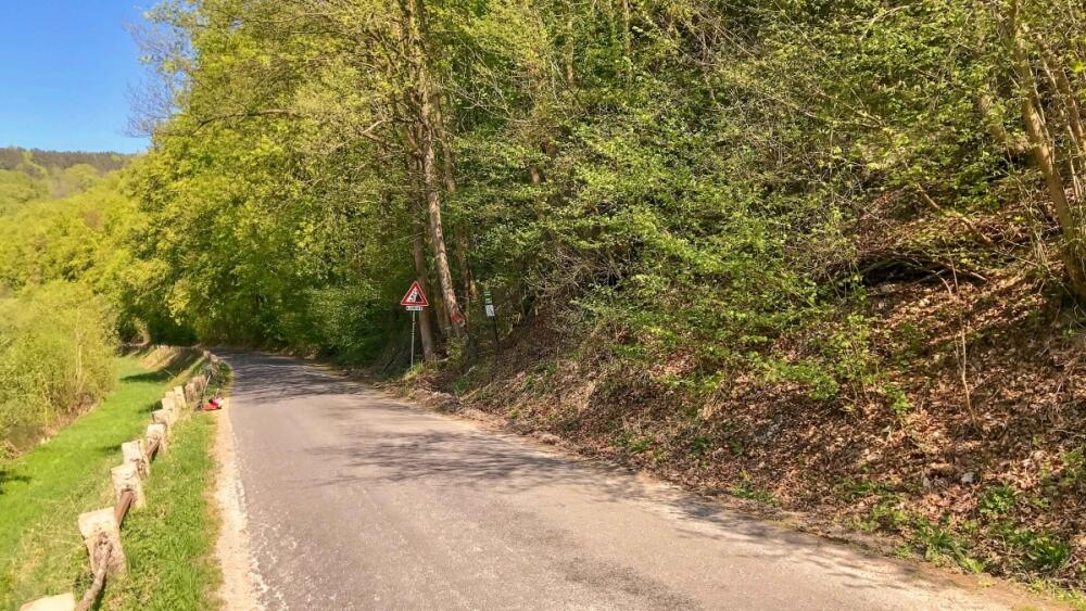 Přírodní rezervace Bučiny u Rakous, foto - zdroj: www.cesky-raj.cz