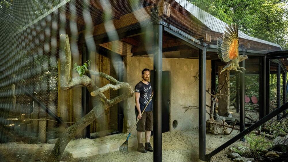 Zoo, foto: Artur Irma