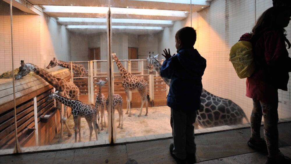 Zoo, foto: Artur Irma