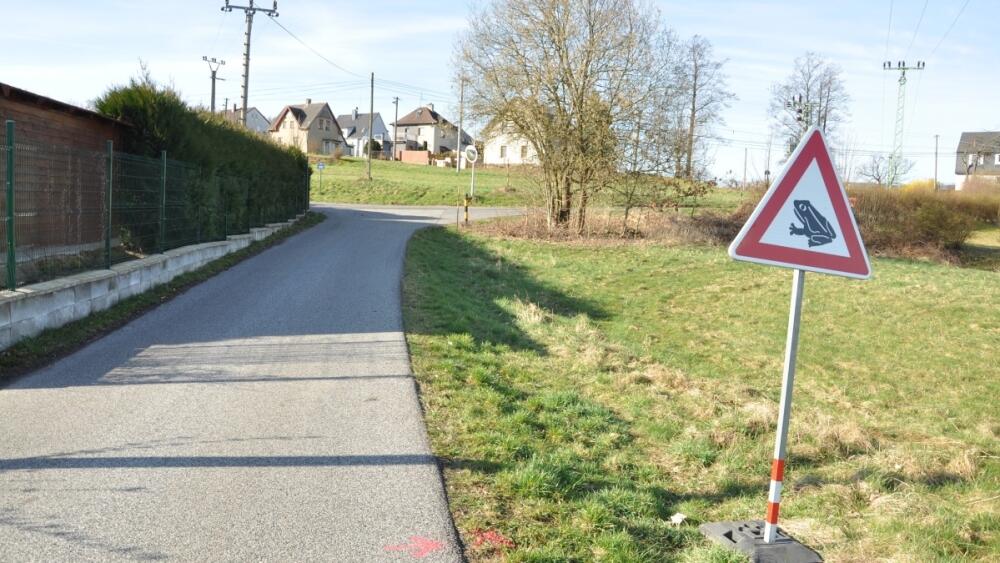 Pozor, žáby, foto: LK
