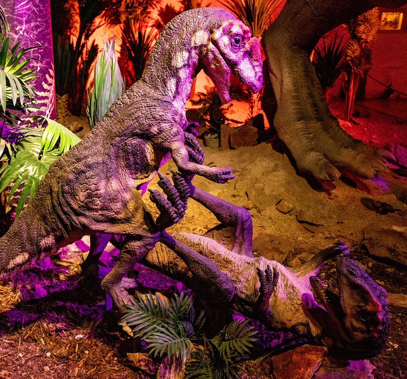 Foto: FB DinoPark