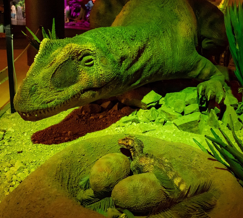 Foto: FB DinoPark