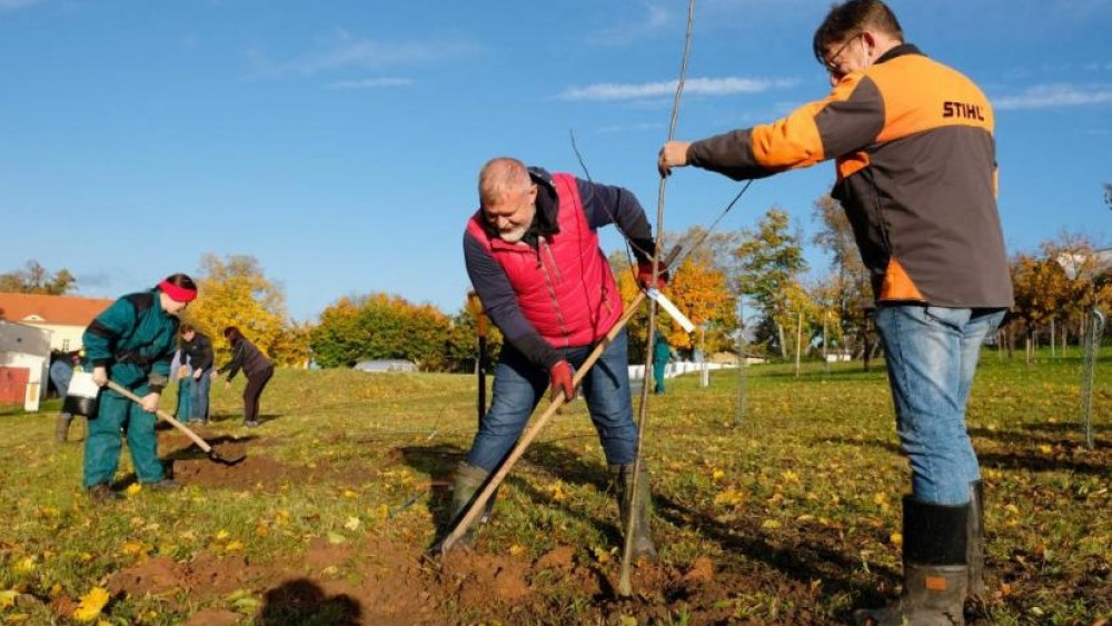 Foto: www.mesto-frydlant.cz