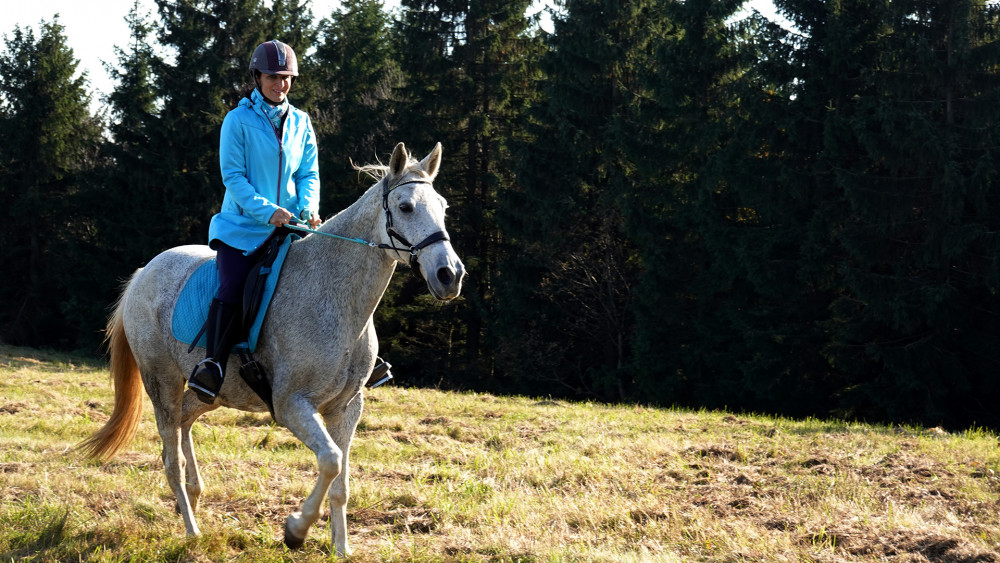 Hřebenovka je oblíbenou trasou nejen pěších a cyklistů, ale i jezdců na koních.