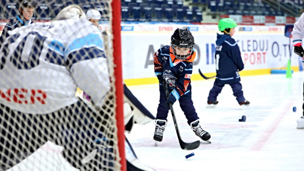 Foto: www.hcbilitygri.cz
