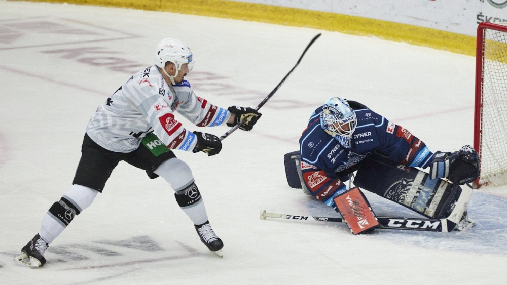 Foto: www.hcbilitygri.cz