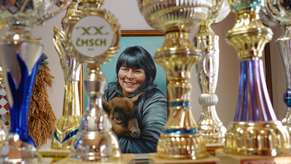 Milena Krejzová mezi svými kozími Oscary.