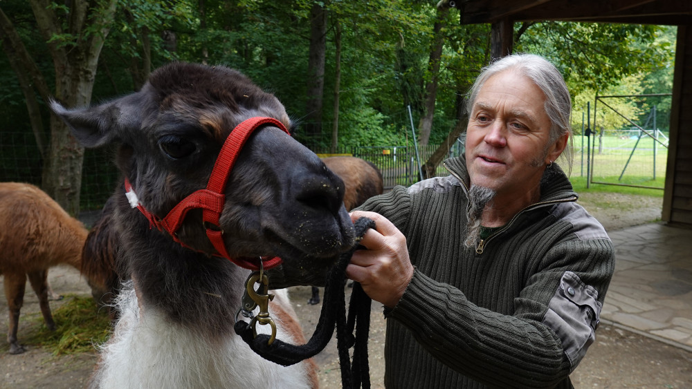  Výkonný ředitel zahrady Andreas Stegemann provádí kromě jiného i zvířecí podpůrné terapie s lamami.