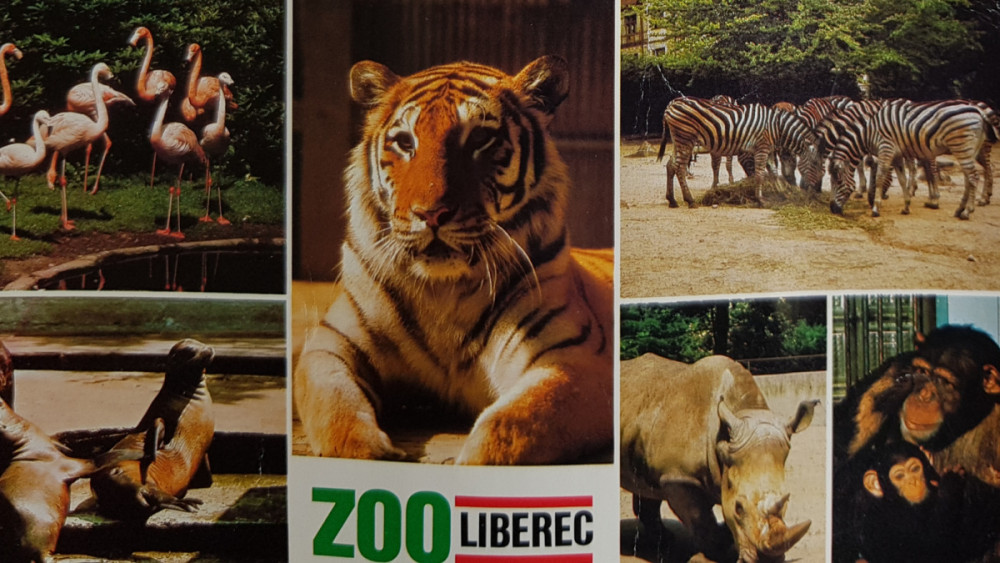Historie Zoo